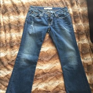 BKE Stella Bootcut Jeans